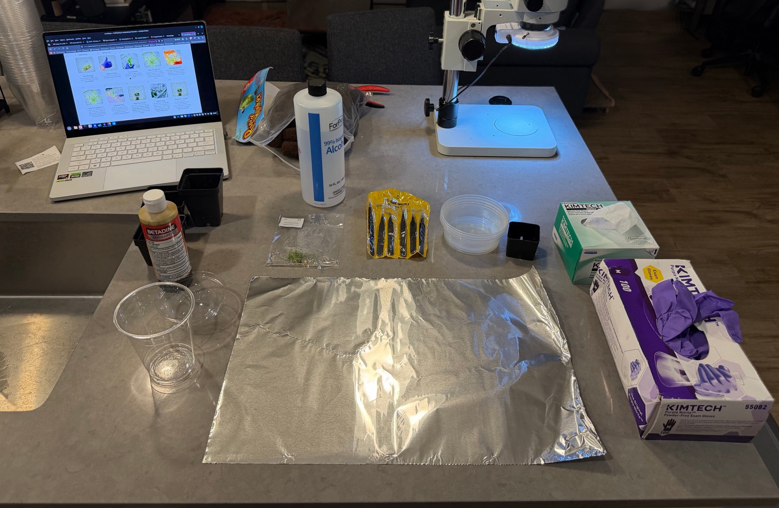 The sterilized work surface laid out for deflasking: isopropyl alcohol, povidone iodine, nitrile gloves, pots, brownie plugs, and a stereo microscope.